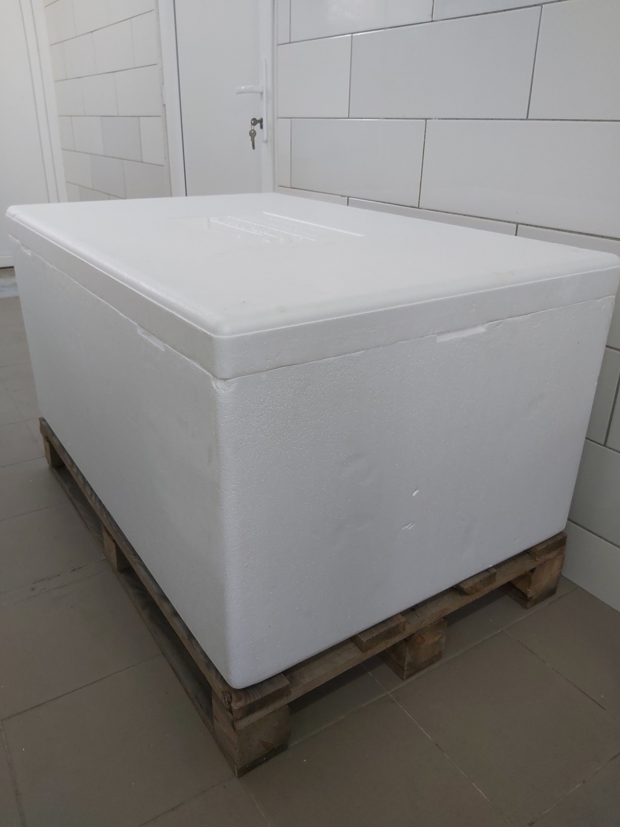 Suchy Lód (Granulat do wyboru) 250kg z pojemnikiem